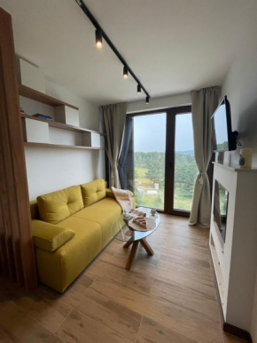Penthouse view Divcibare